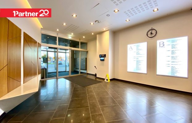 картина 9 of 11