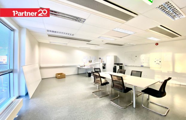 картина 6 of 11