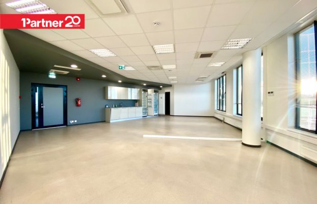 картина 1 of 14