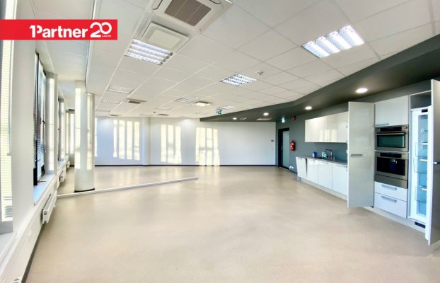 картина 4 of 14