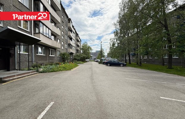 Image 8 of 21