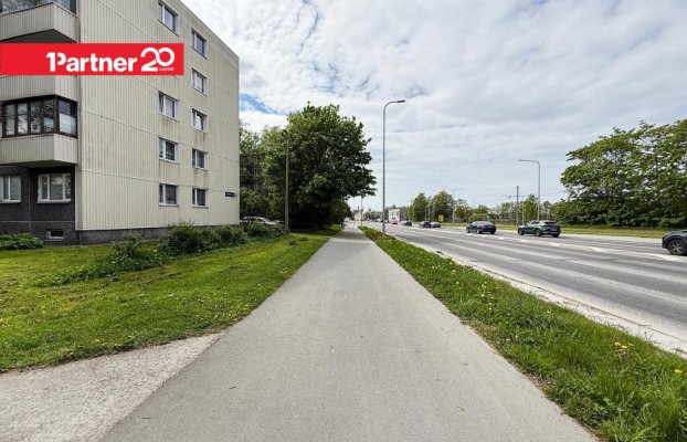 Image 19 of 21