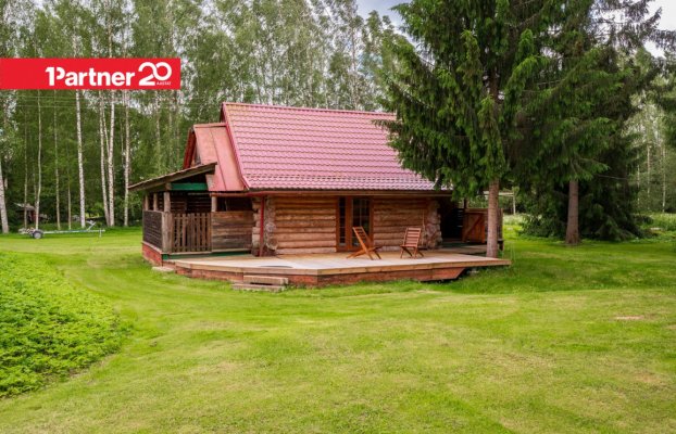 картина 46 of 54