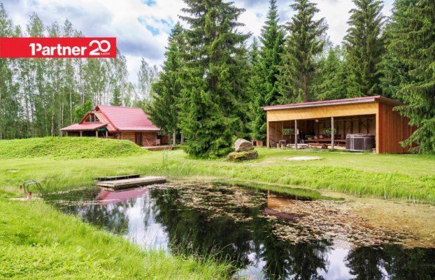 картина 42 of 54