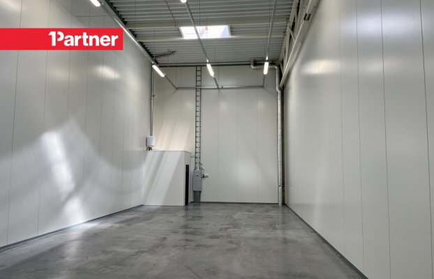 картина 8 of 10