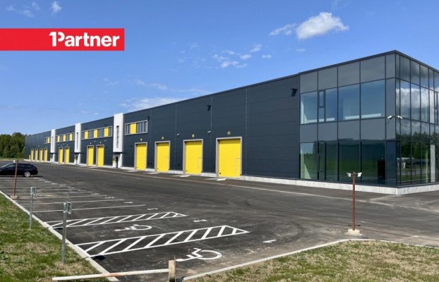 картина 4 of 10