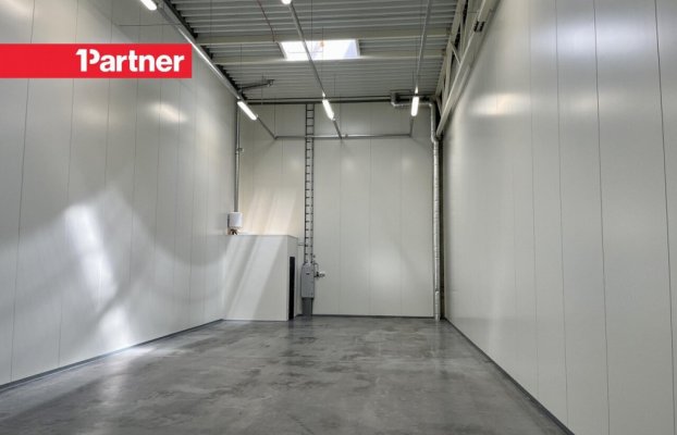 картина 8 of 10