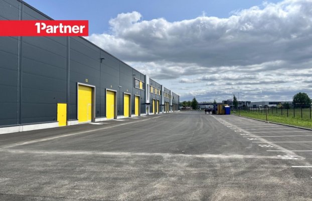 картина 6 of 10