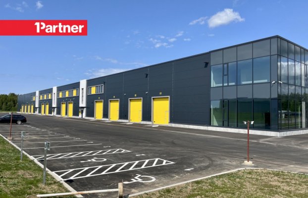 картина 4 of 11