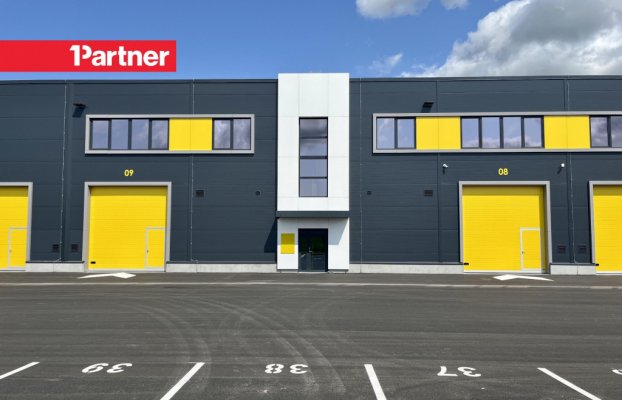 картина 5 of 11