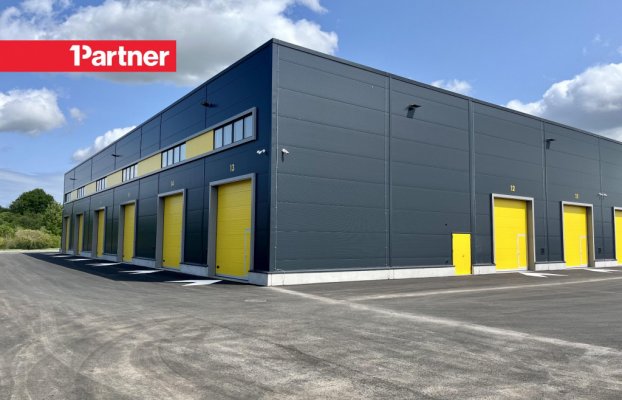 картина 7 of 11