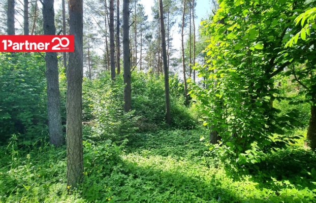 картина 8 of 21