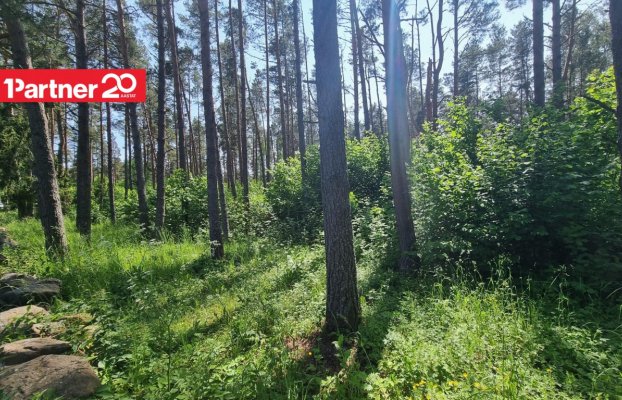 картина 7 of 21