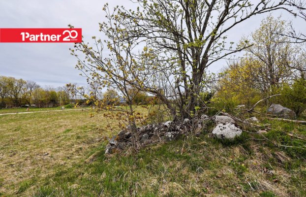 Image 8 of 15