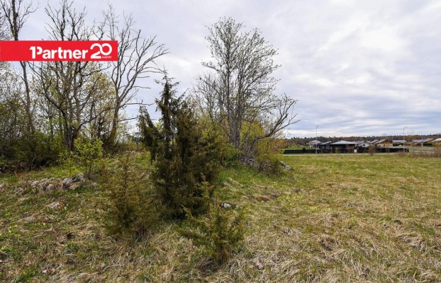 Image 6 of 15