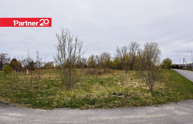 Image 11 of 15