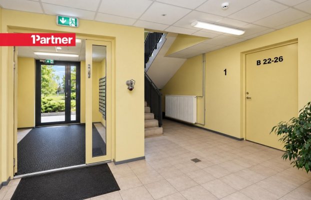 Image 19 of 25