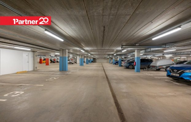 картина 22 of 25