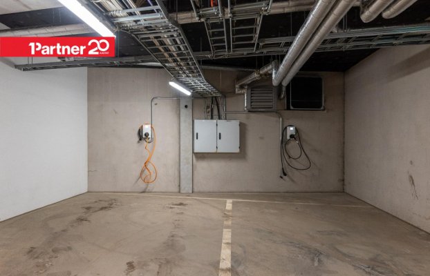 картина 23 of 25