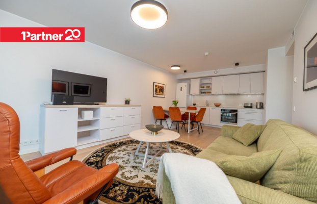 картина 4 of 25