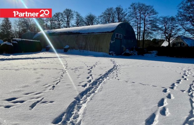 картина 4 of 7