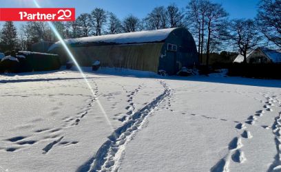 Image of MÜÜME HOONESTATUD KINNISTU TALLINNAS KAKUMÄEL!