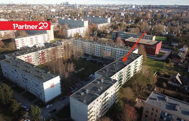 картина 15 of 19