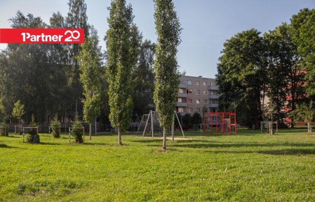 картина 14 of 19