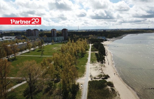 картина 13 of 14