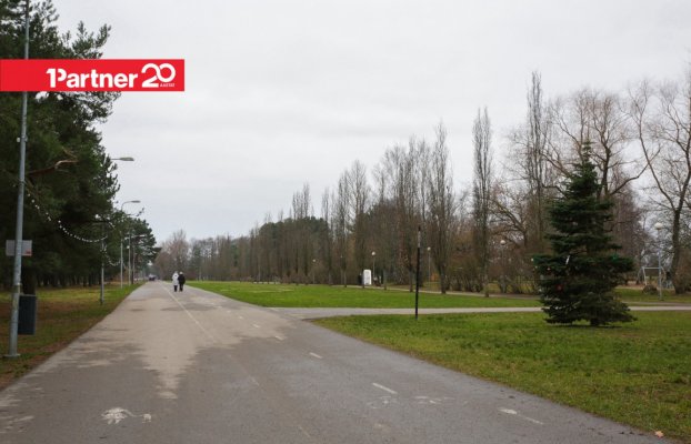 картина 12 of 14