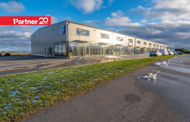 картина 8 of 8