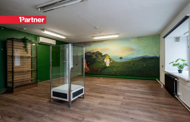 Image 7 of 19
