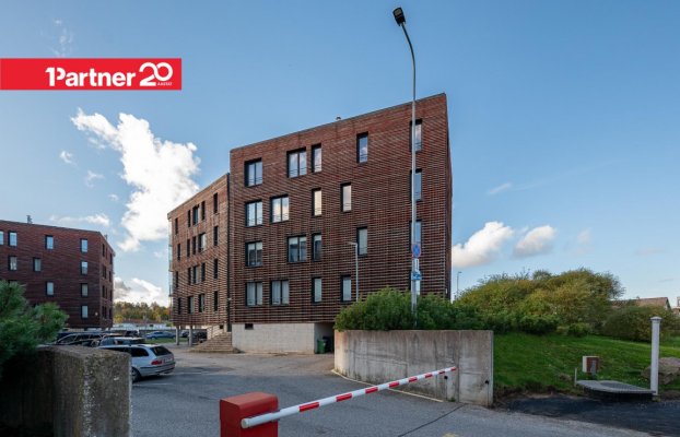 Image 21 of 25
