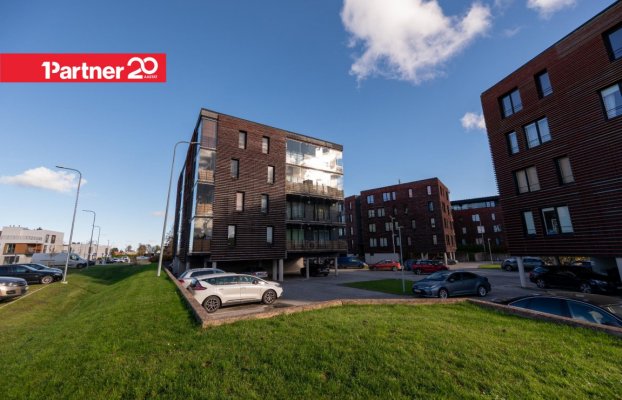 Image 24 of 25