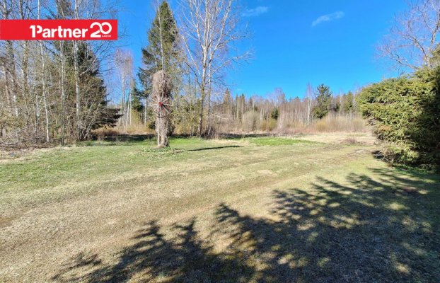 Image 7 of 12