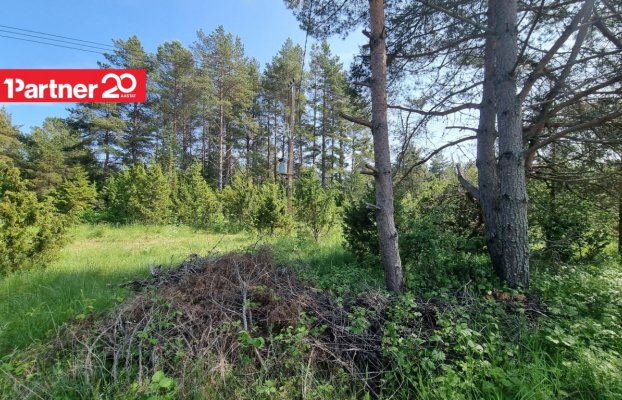 картина 8 of 27