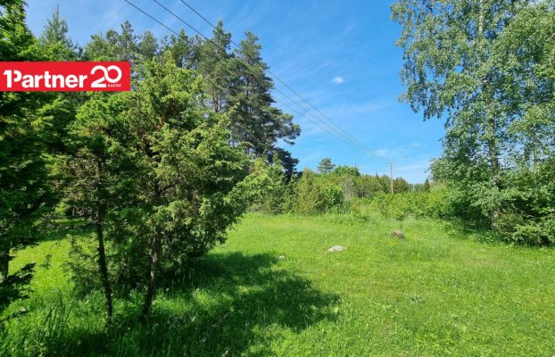 картина 15 of 27