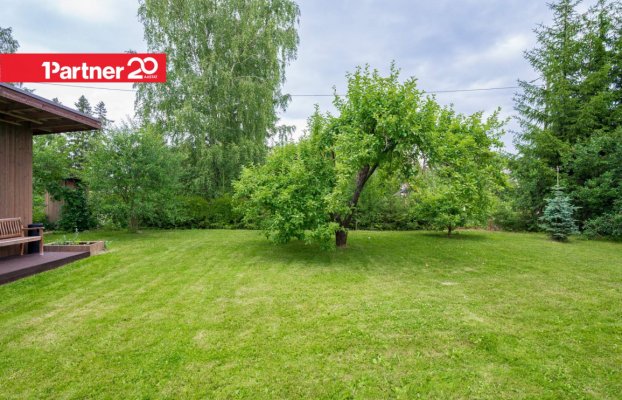 картина 35 of 36