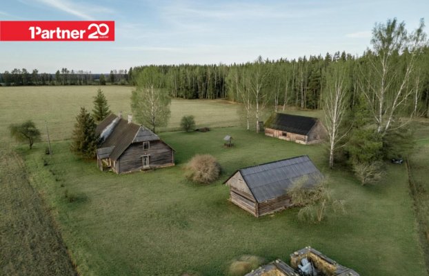 картина 1 of 15