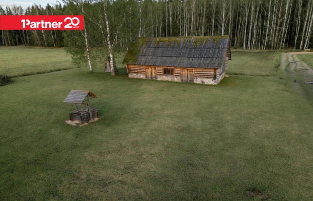 картина 5 of 15