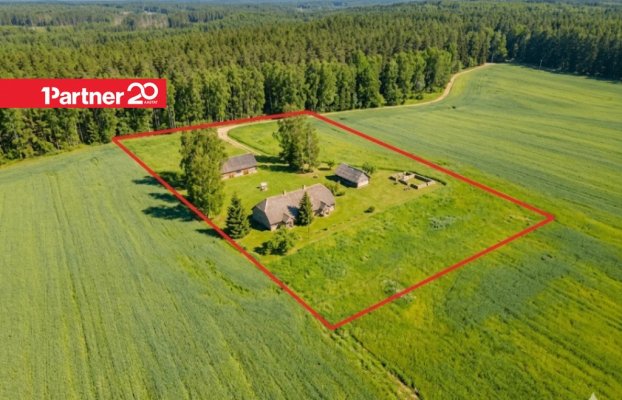 картина 13 of 15