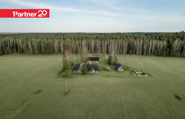 картина 14 of 15