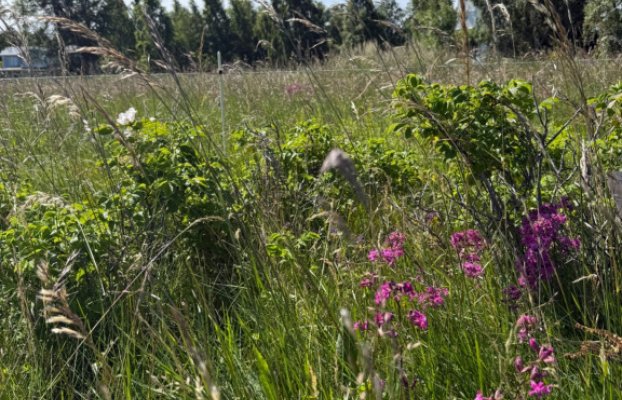 Image 19 of 30