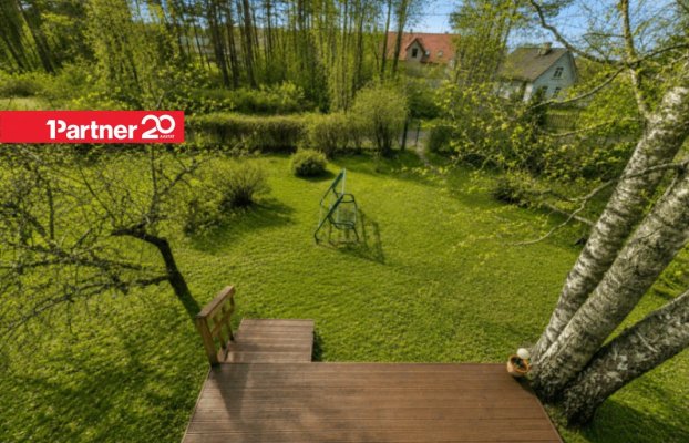 Image 15 of 19