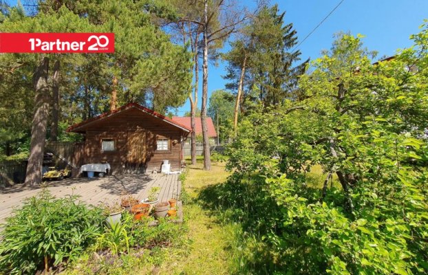 картина 22 of 29
