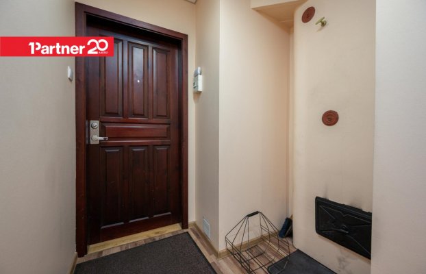 Image 11 of 19