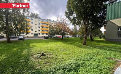 Image of TOAD ERALDI - GARDEROOB - TULE JA ELA