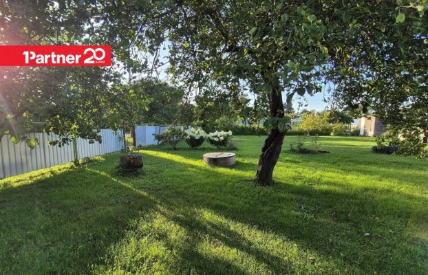 картина 9 of 14