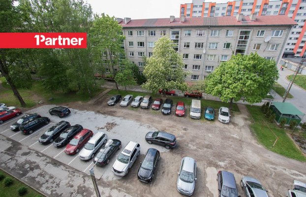 картина 13 of 16