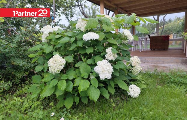 Image 40 of 53